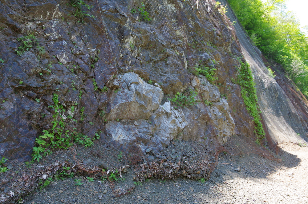 写真9　イドンナップ層の粘板岩と石灰岩のブロック.jpg