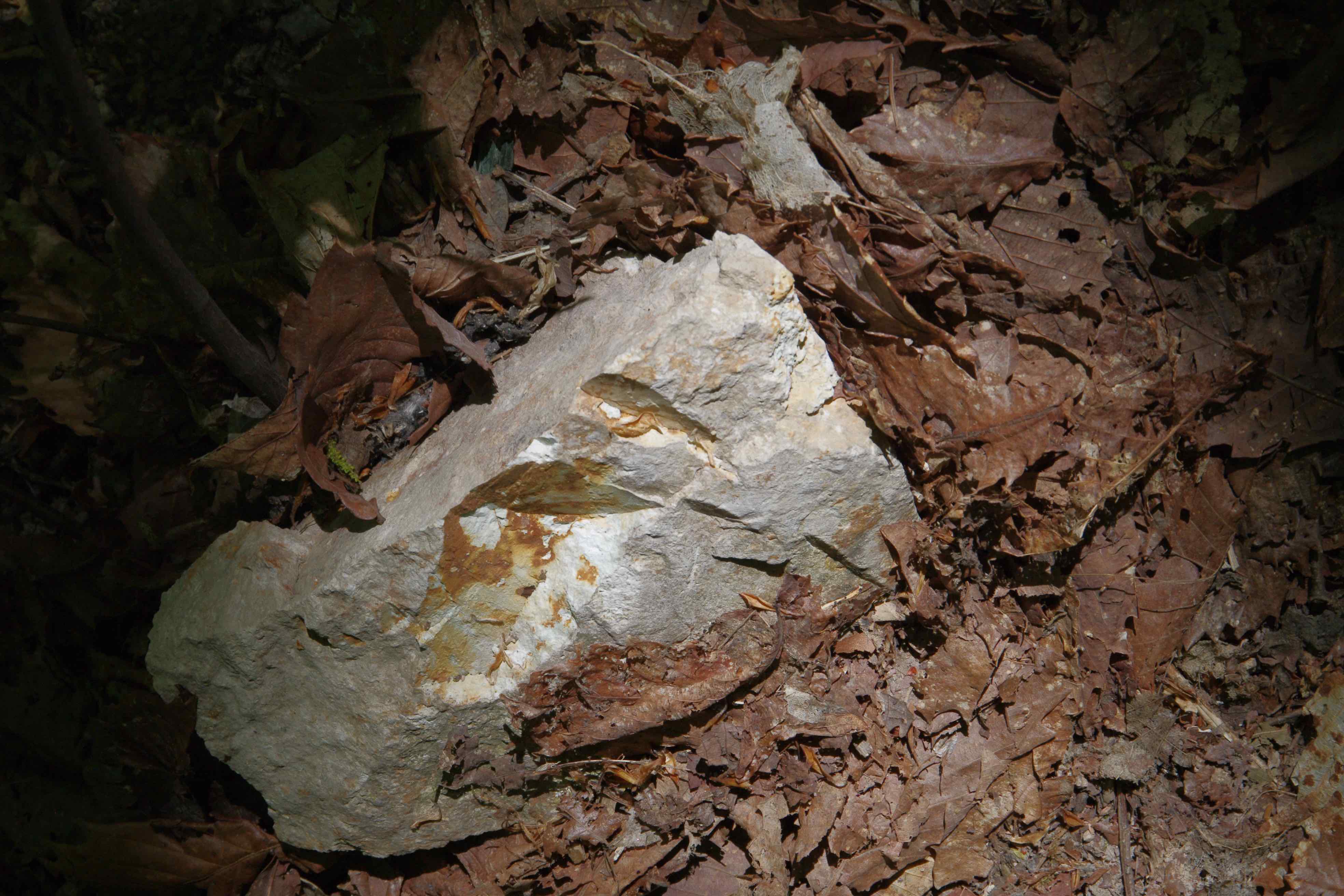 写真5　流紋岩質の酸性岩.jpg