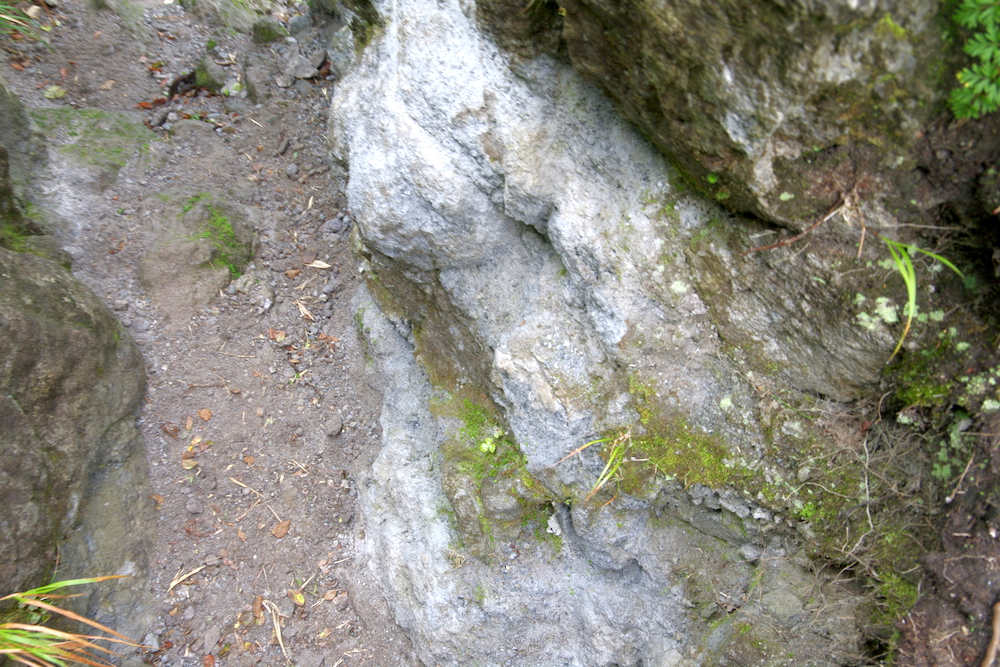 図2　羅漢岩手前の変質岩.jpg