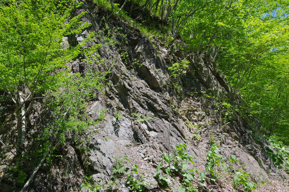 写真12　岩清水層の玄武岩.jpg