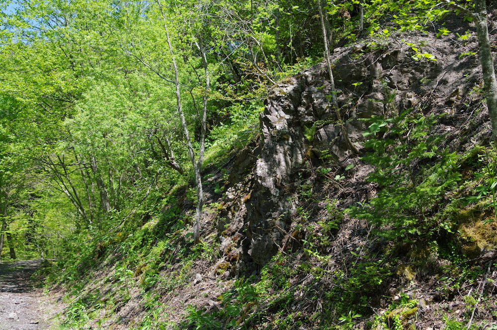 写真15　緑色岩.jpg