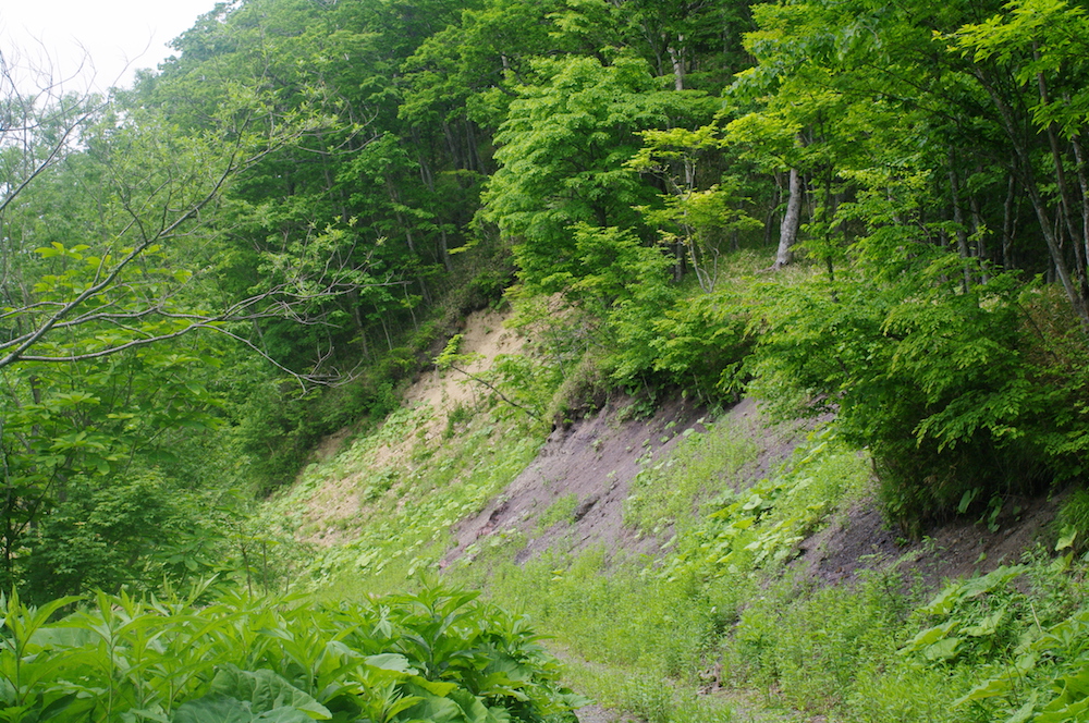 写真7　閃緑岩質岩と岩清水層の境界.jpg