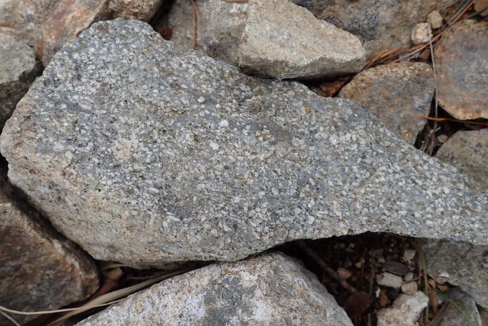 写真27　前天塩岳頂上のデイサイト質安山岩.jpg