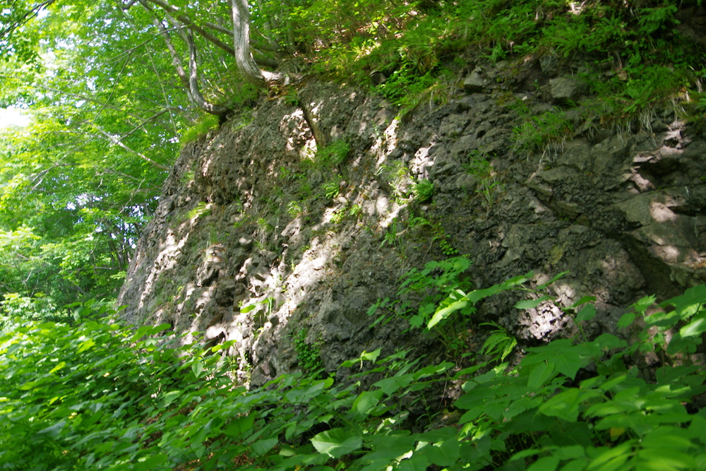 写真1　変質安山岩.jpg