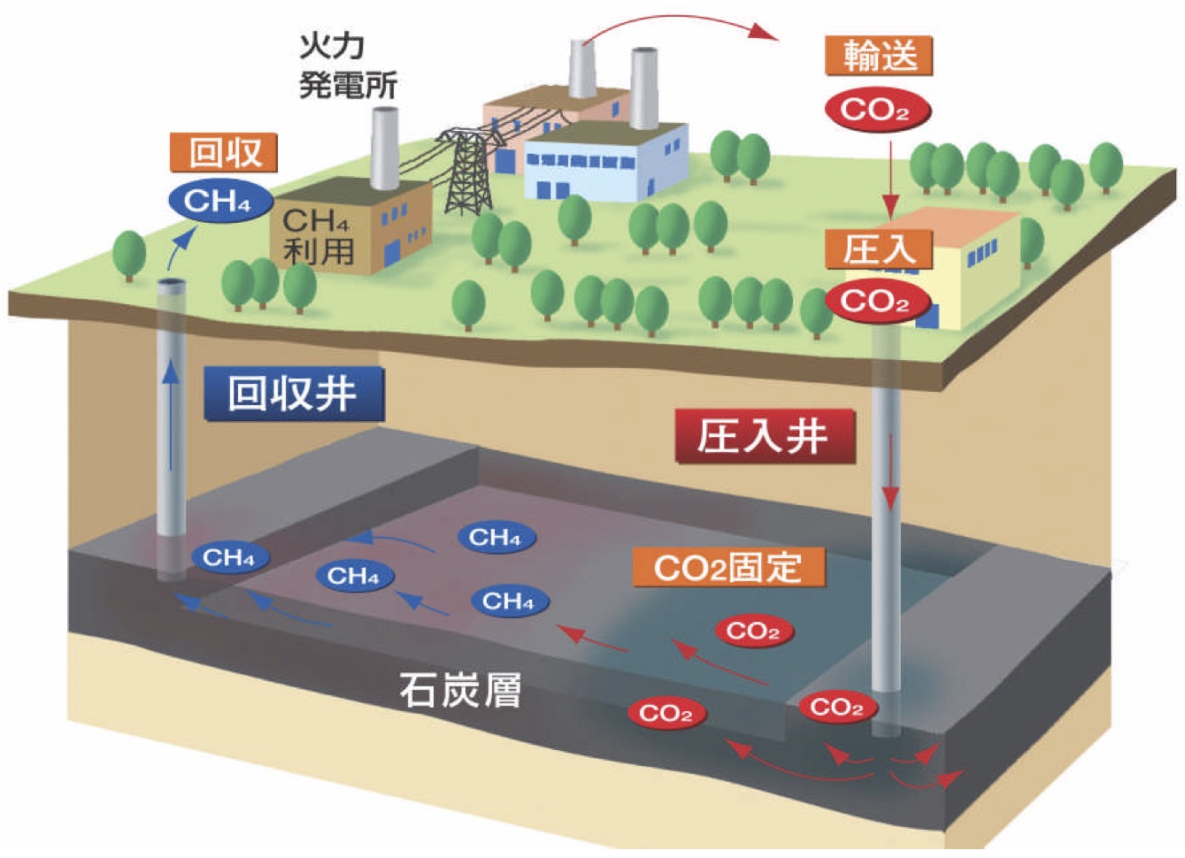 図6　CO２炭層固定化技術開発の概念図.jpg