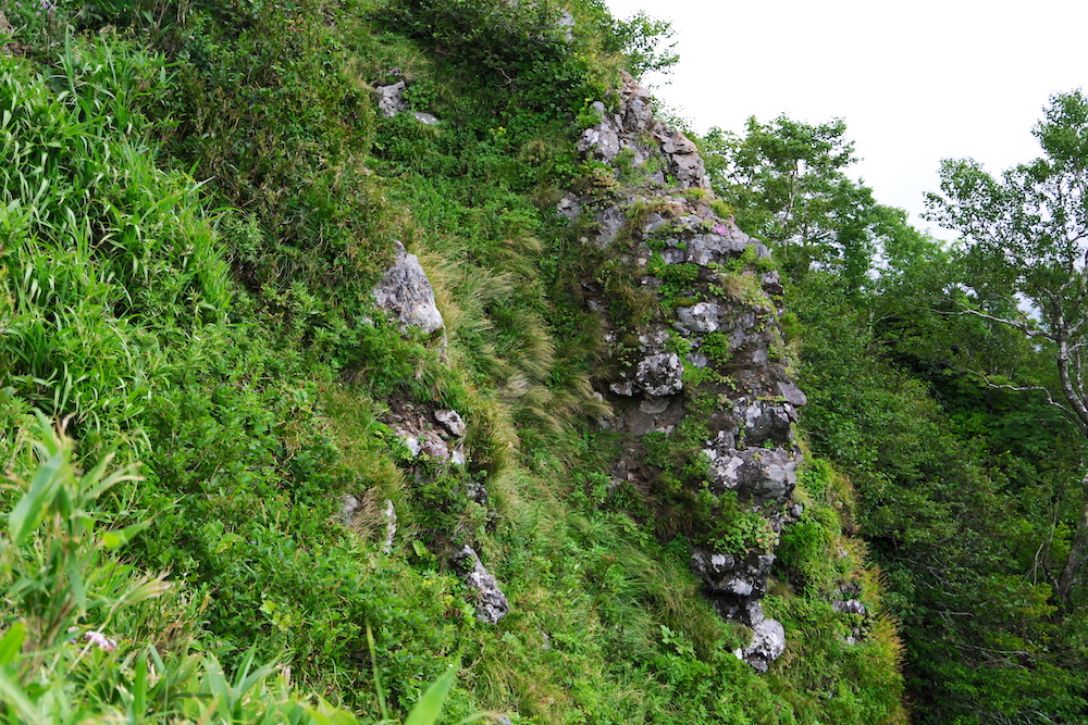 図8 山腹の露頭.jpg