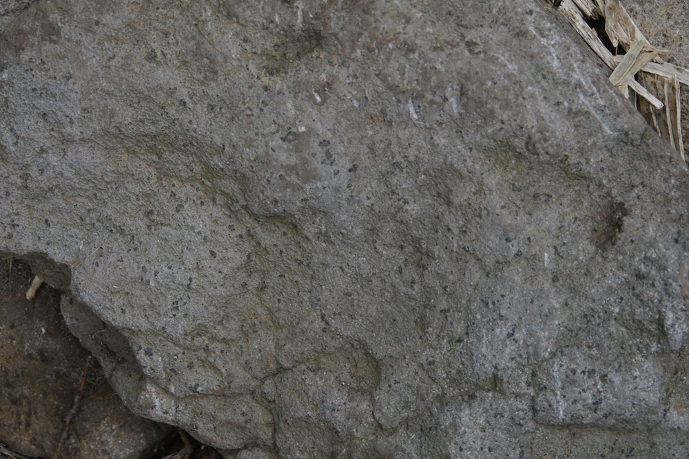図4　角閃石を含む安山岩溶岩.jpg